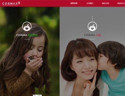 網(wǎng)站建設(shè)案例